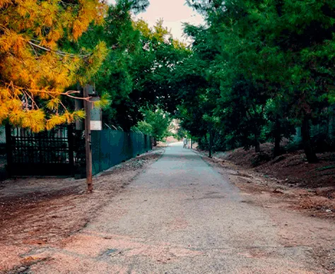 Vía verde Martos Jaén alquiler de bike