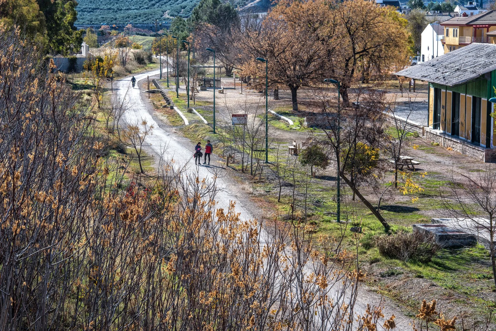 via verde del aceite cicloturismo jaen alquiler bicicletas (1)