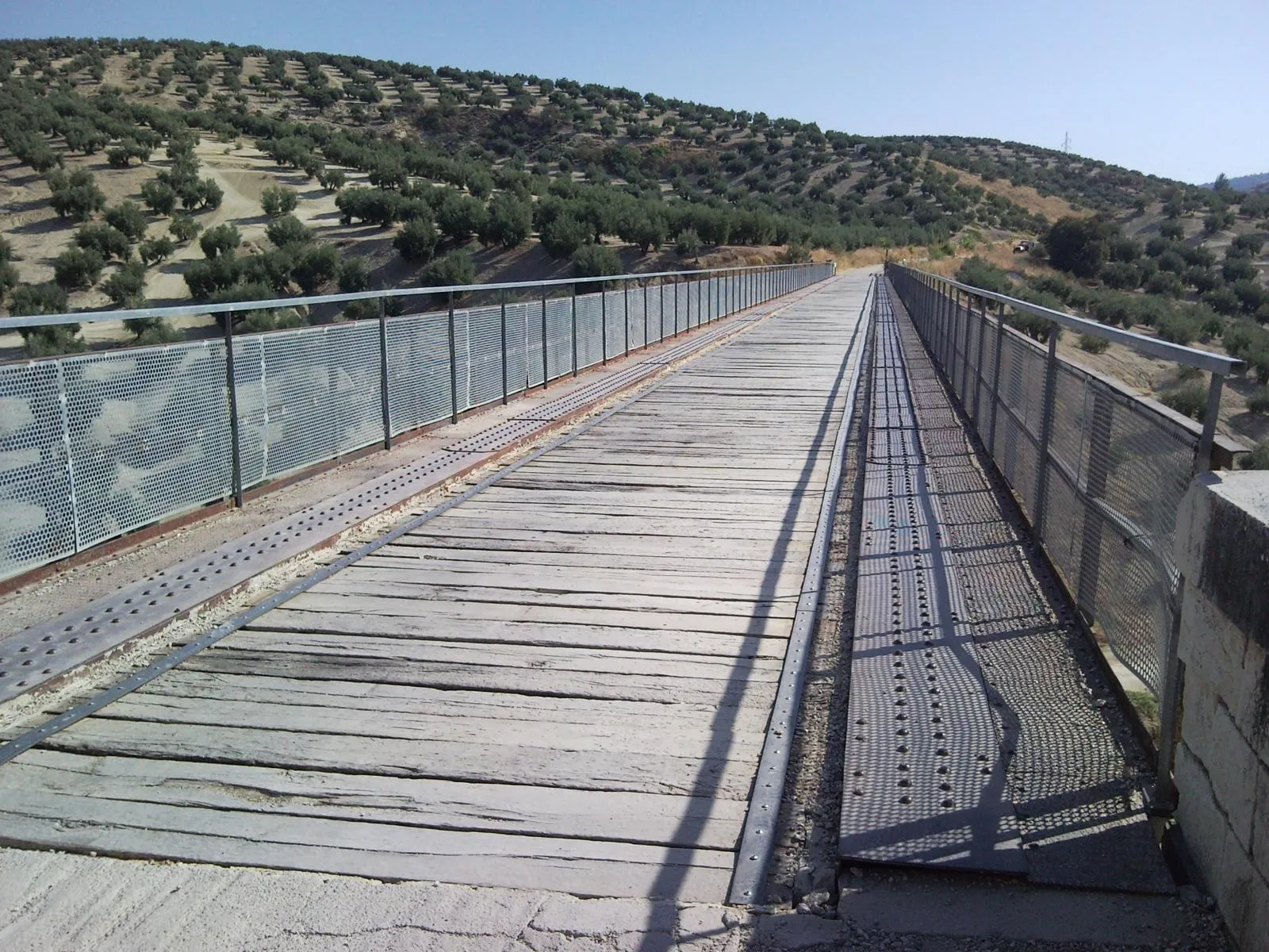 via verde del aceite cicloturismo jaen alquiler bicicletas