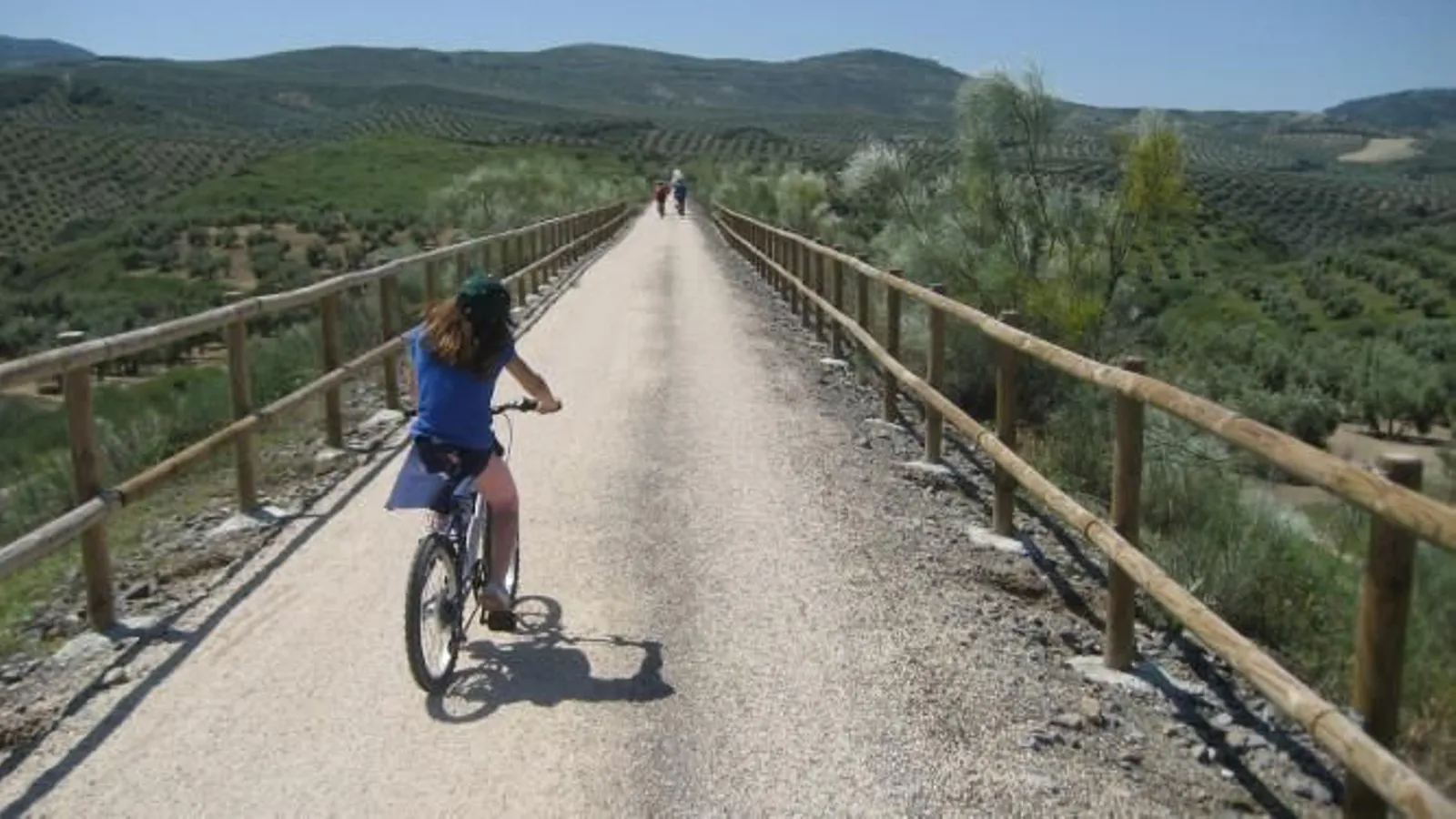 via verde del aceite cicloturismo jaen alquiler bicicletas