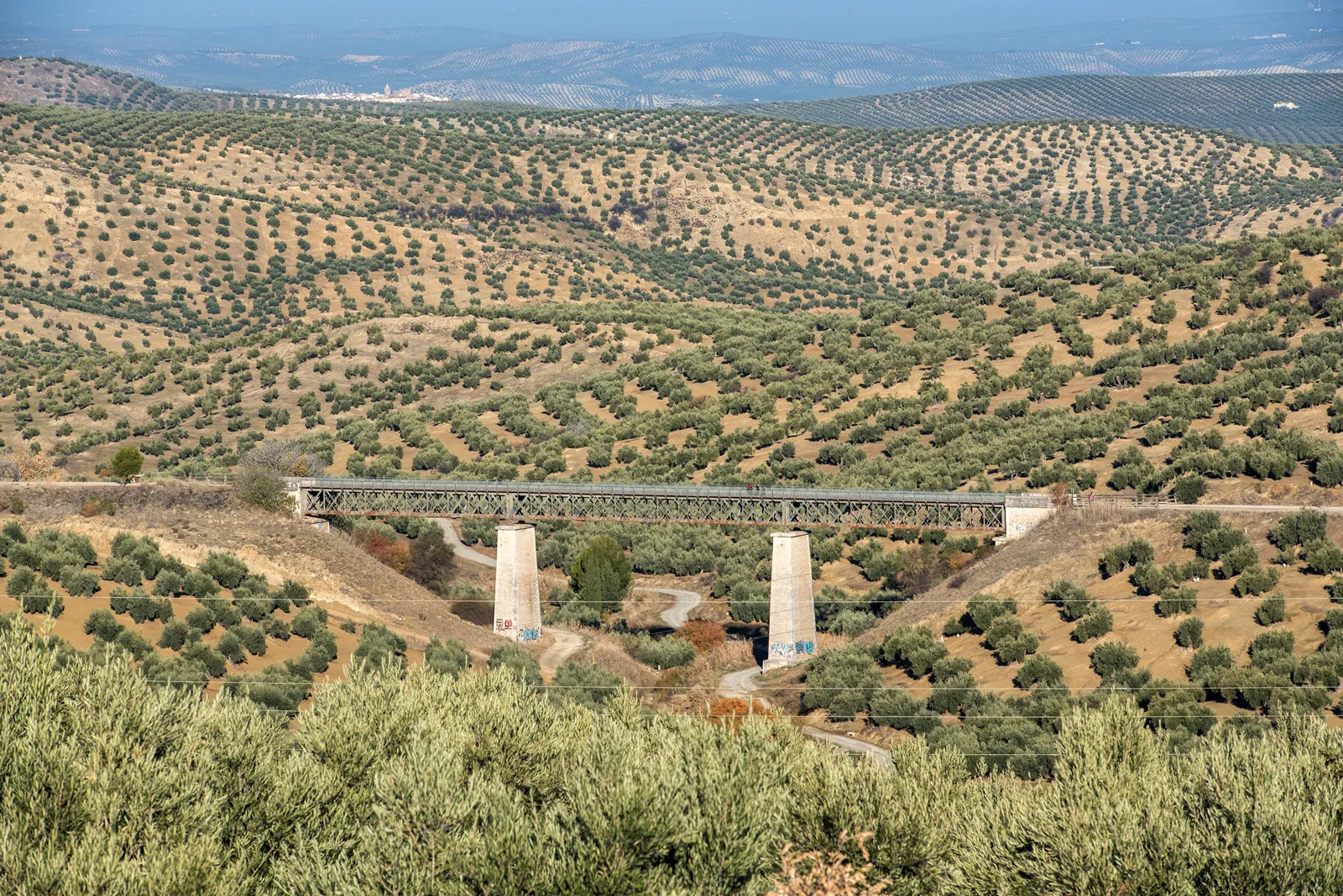 via verde del aceite cicloturismo viabike