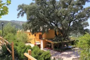 Casa Rural El Encinar de Cobo