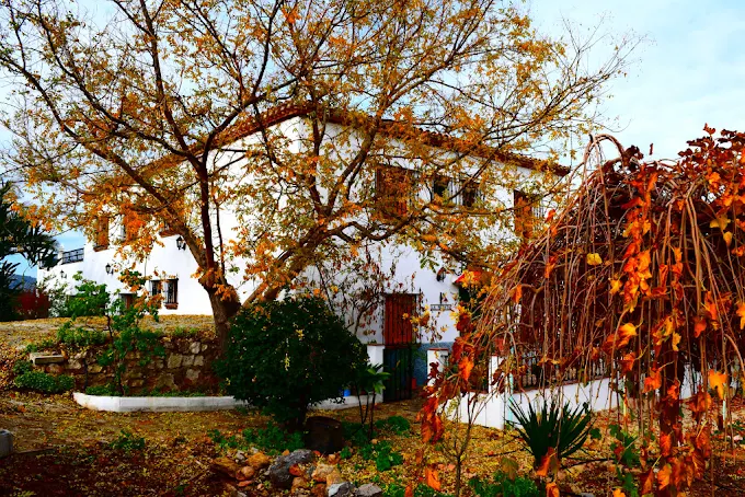 Casa Rural La Morata