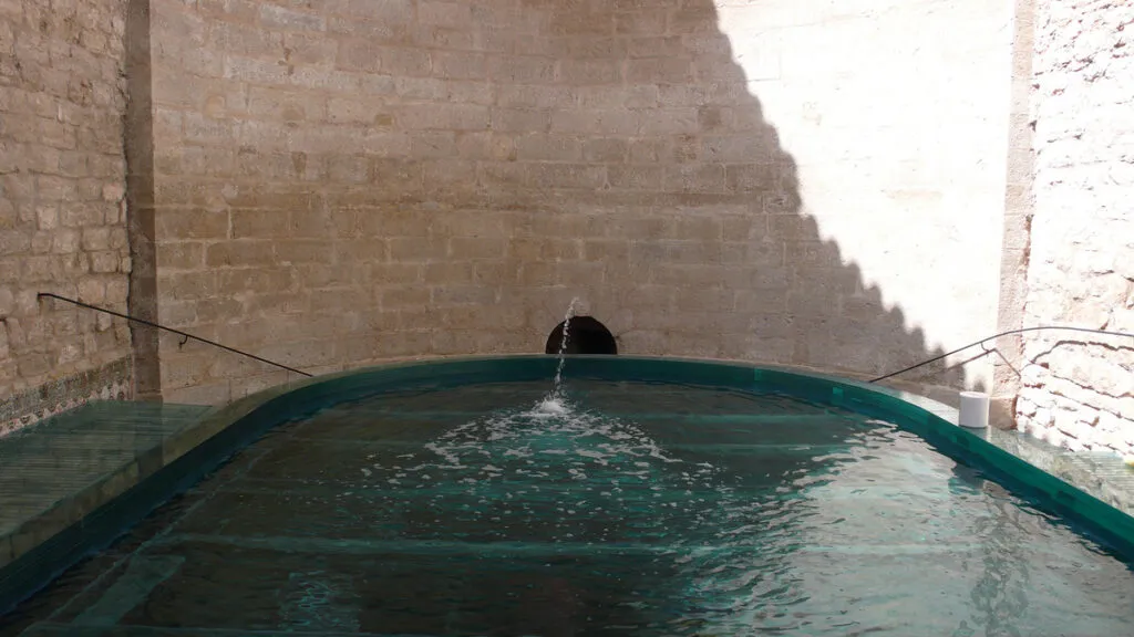 Raudal de la Magdalena