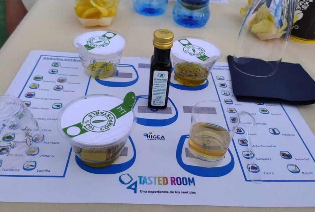 tasted room cicloturismo jaen oleoturismo