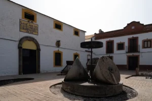 Oleoturismo Santa María