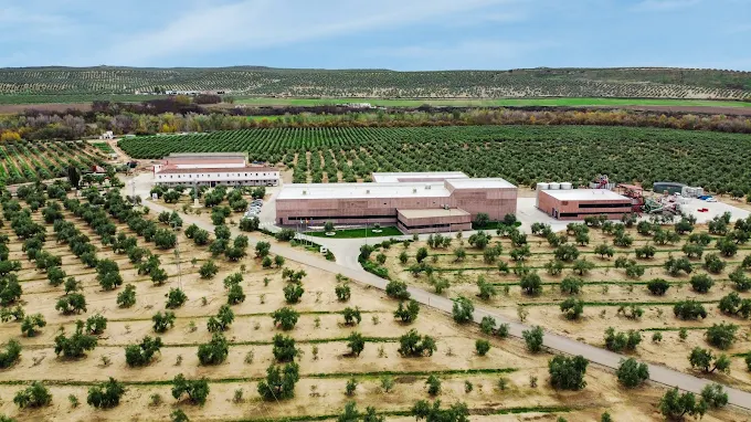 Aires de Jaén