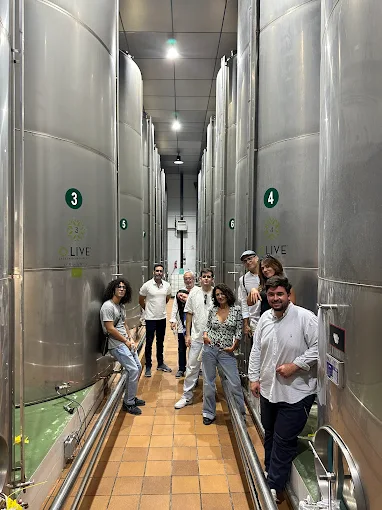 Oleoturismo Santa María